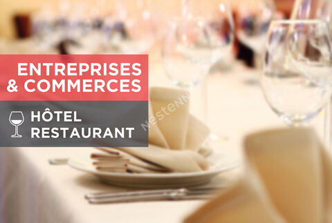 41. Fonds de commerce d'Hôtel/Restaurant en Bord de Loire 259200 41000 Blois