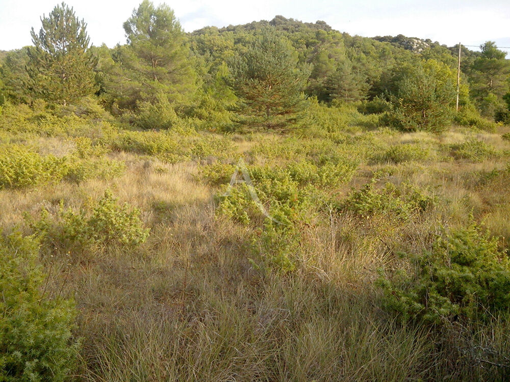 Vente Terrain TERRAIN AGRICOLE 3194M2  SAINT JULIEN Saint julien