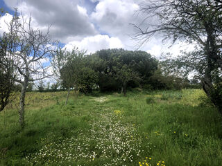  Terrain � vendre 5292 m�