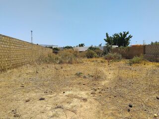  Terrain � vendre 1 m� Saly