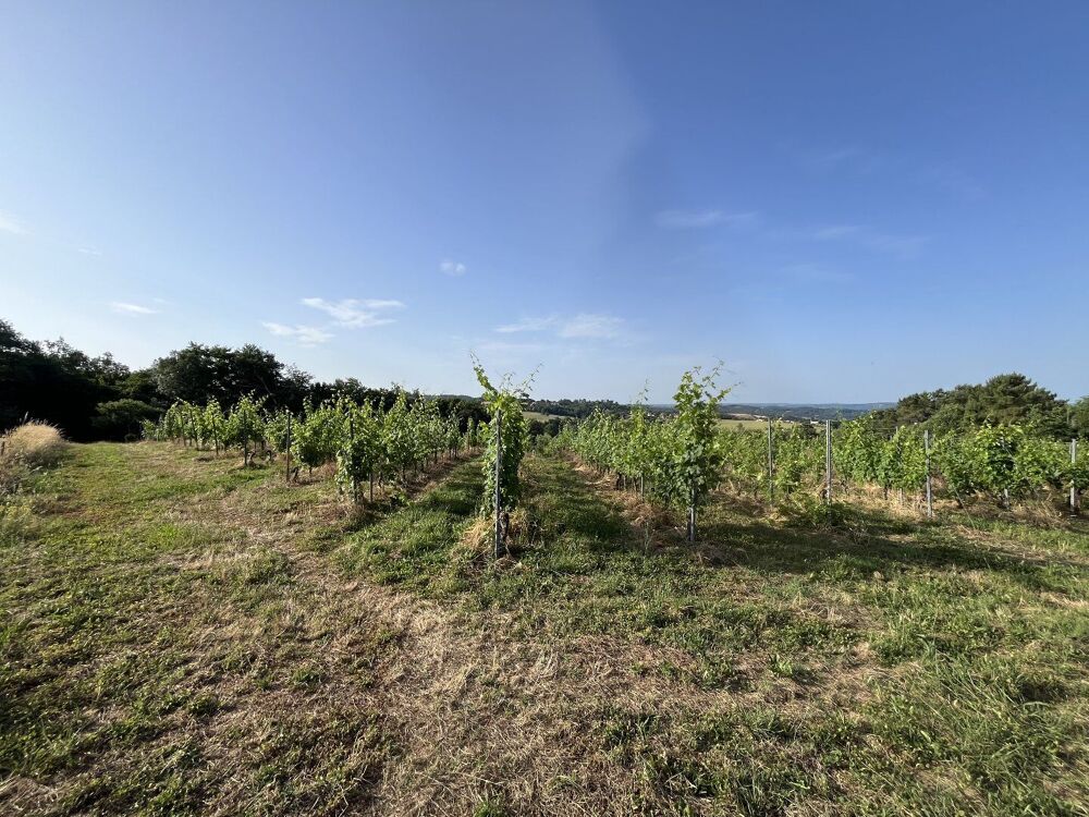 Vente Terrain À Vendre : Terrain avec Vignes - Puy-d'Arnac (19) Puy d arnac