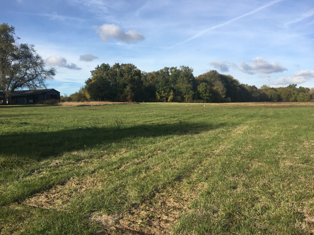 Vente Terrain Terrain 1300m² - Saint Germain d'Esteuil Saint germain d esteuil