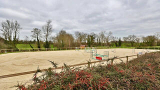  Maison à vendre 15 + pièces 465 m²