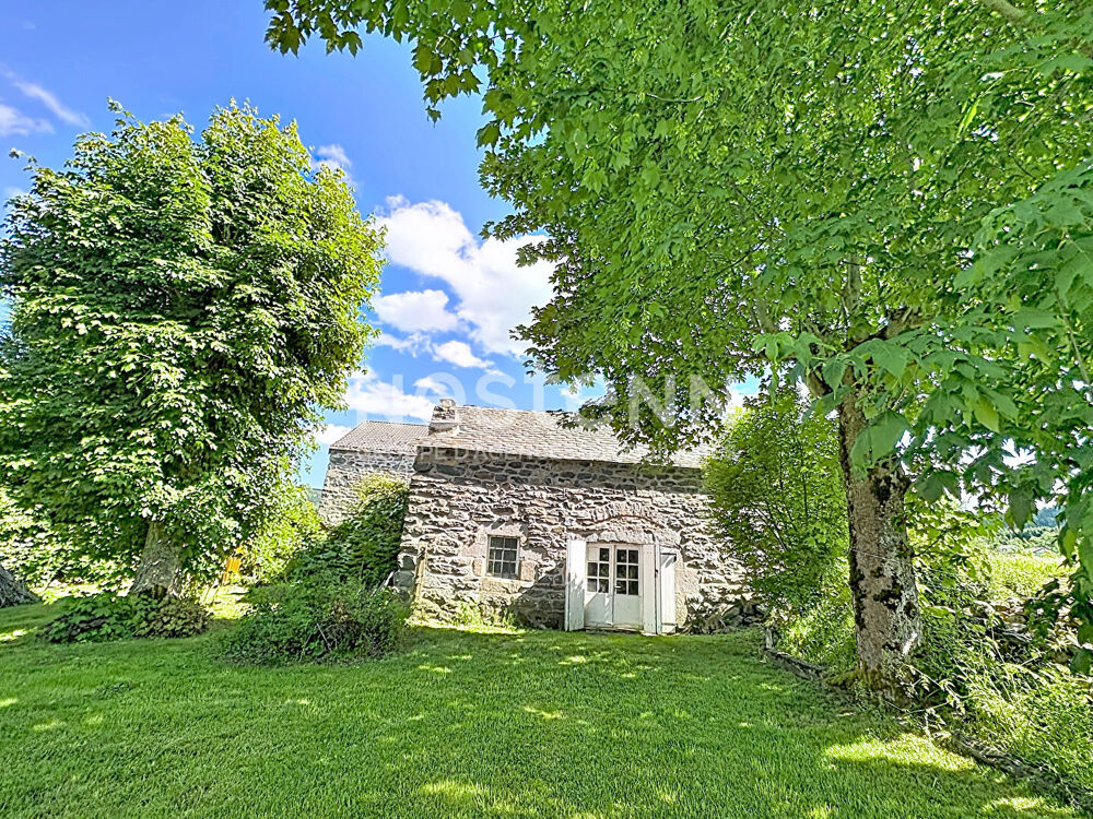EXCLUSIVITE !ARAULES ! Belle bâtisse en pierres d'environ 130 m2 avec garage et dépendances et terrain