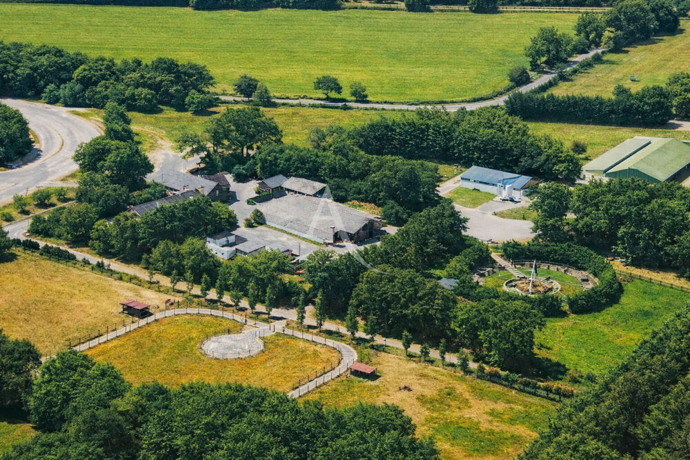 Vente Maison Propriété equestre Nozay Nozay