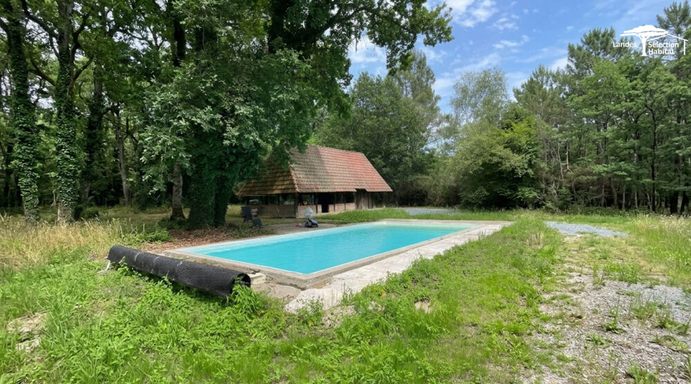 Propriété de caractère sur 4 hectares - 3 dépendances, étang