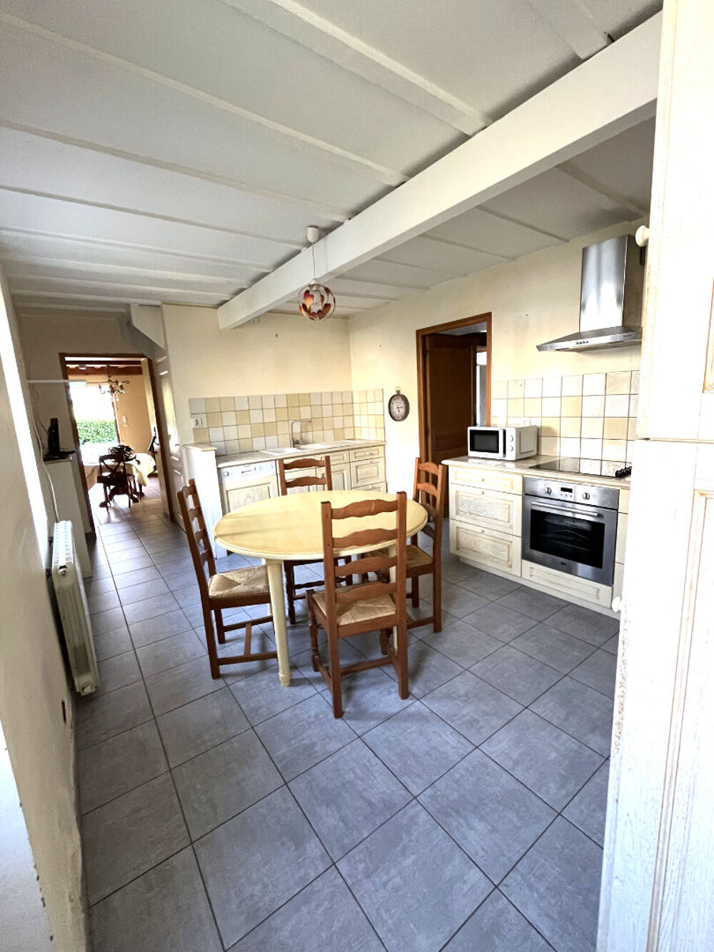 Vente Maison Maison Ternay 3 pièce(s) 110 m2 Ternay
