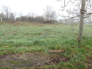  Terrain à vendre 1230 m²