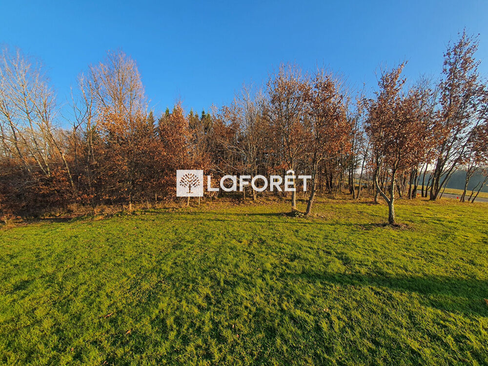 Vente Terrain Terrain Montdurausse 1360 m² environ ! Montdurausse