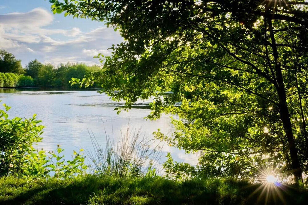 Vente Maison Domaine touristique de 15 hectares La rochelle