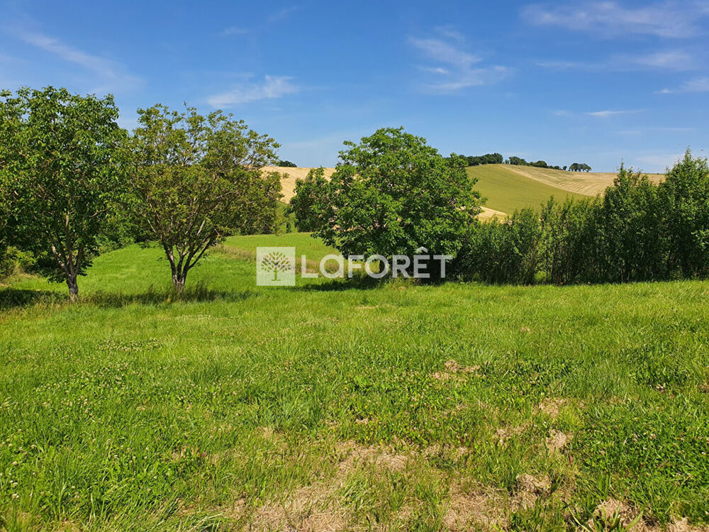 Vente Terrain Terrain avec vue, 10 minutes au nord de Villemur-sur-Tarn Villemur sur tarn
