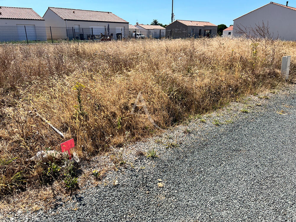 Vente Terrain Terrain Saint Vincent Sur Jard 339 m2 Saint vincent sur jard