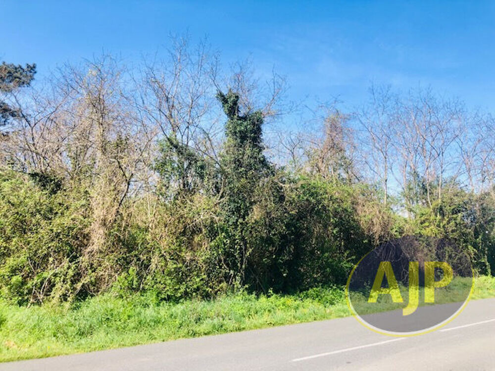 Vente Terrain Terrain Saint Germain D Esteuil 5903 m2 Saint germain d esteuil
