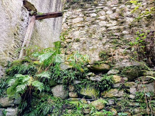  Terrain à vendre 