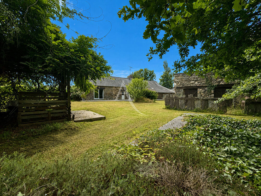 Bien rare sur le marché. Maison rénovée avec parc de plus d'un hectare