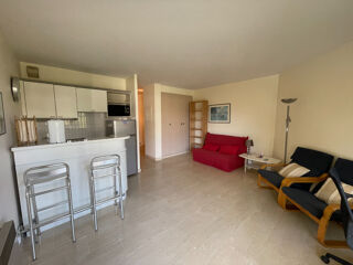  Appartement à louer 1 pièce 30 m²