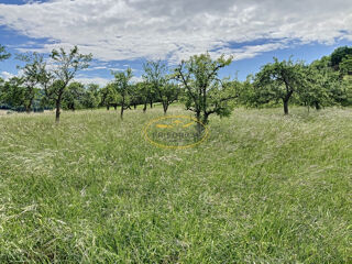 Terrain 3 010 m² (6€/m²), Unknown