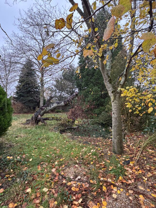  Terrain à vendre 1265 m²