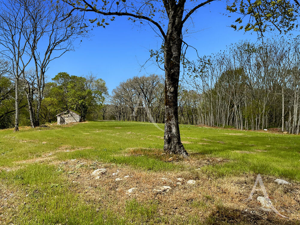Ancien hameau en pierre comprenant : 1 maison d'habitation, 2 granges, 2 hangars et diverses remises et ruines en pierre