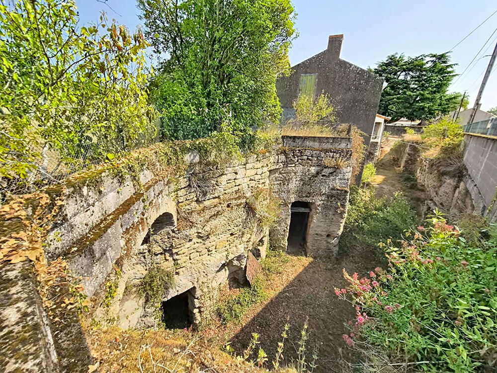 Vente Maison Maison Doue En Anjou Doue en anjou