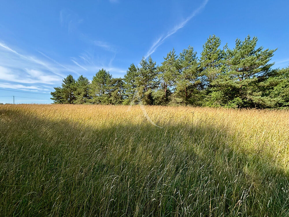 Vente Terrain Terrain de loisirs Chemery Chemery