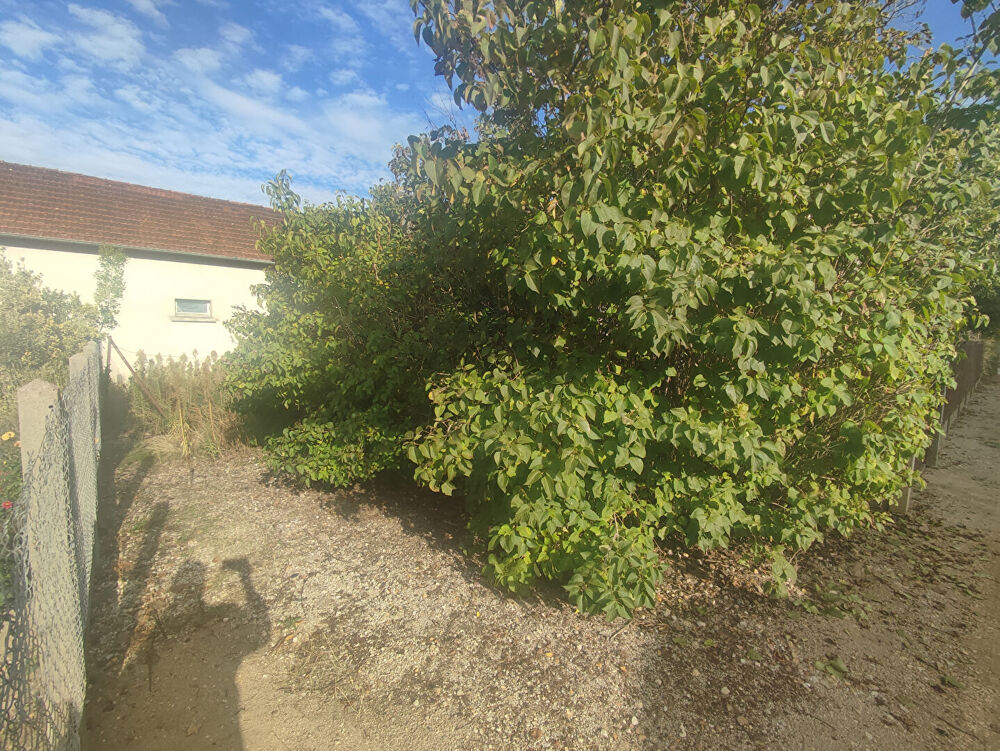 Vente Maison SAINT JEAN DE BRAYE Saint jean de braye