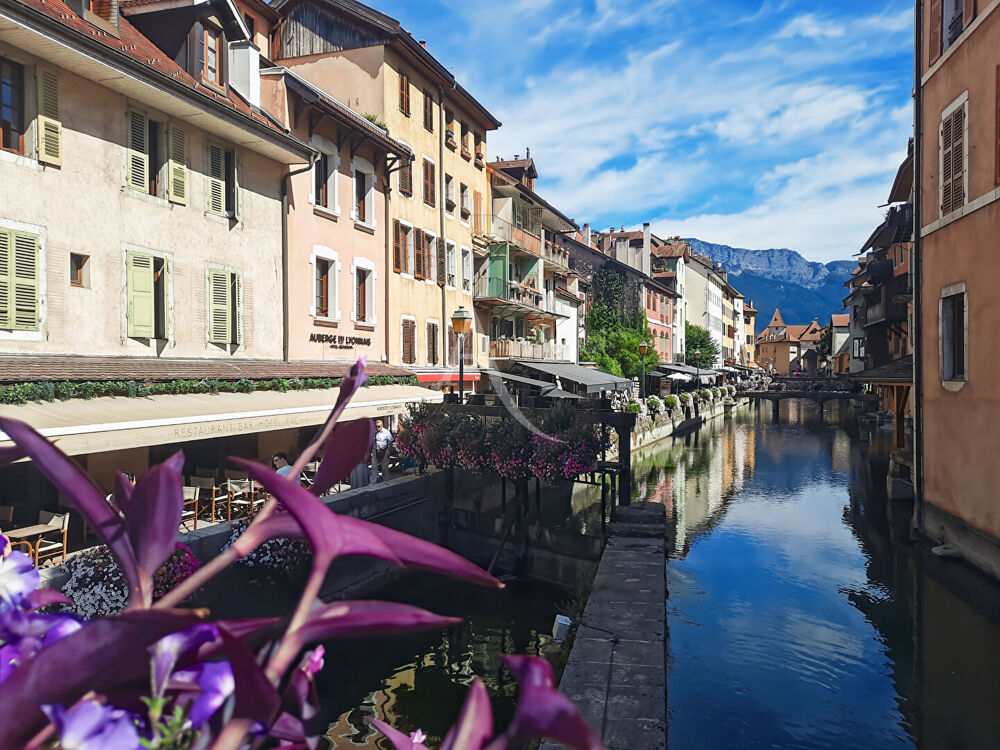 Vente Appartement Appartement Annecy 1 pièce(s) 27.55 m2 ( 47.58 m² UT ) Annecy