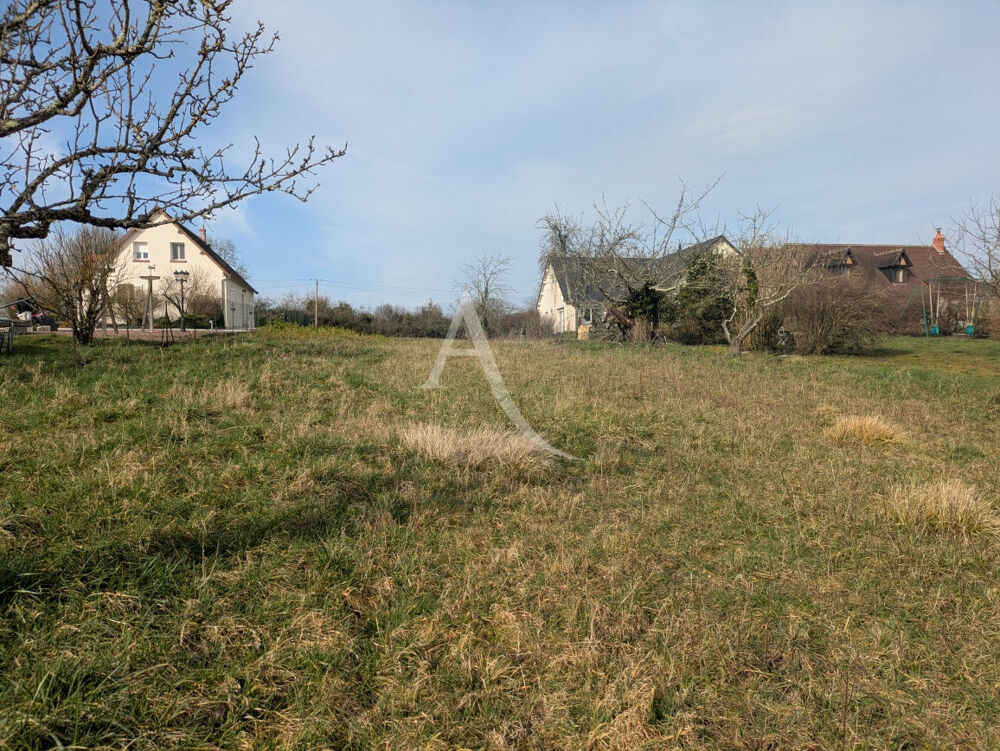 Vente Terrain ONZAIN - 20 KMS DE BLOIS - 20 KMS D'AMBOISE Onzain