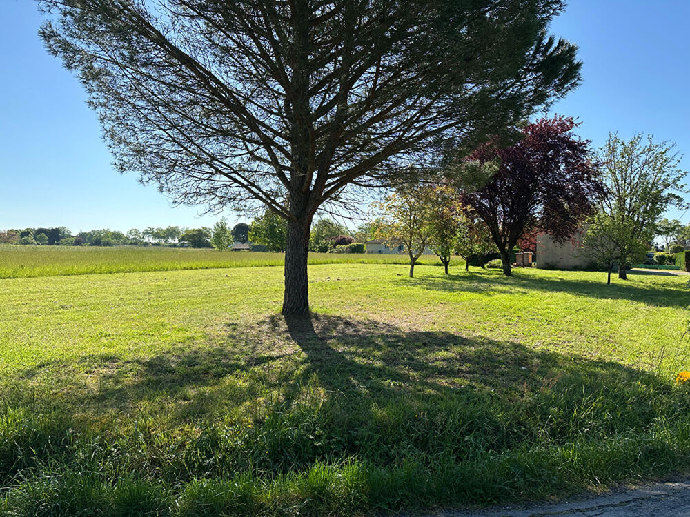 Vente Terrain Gaillac - 1 026 m² Gaillac