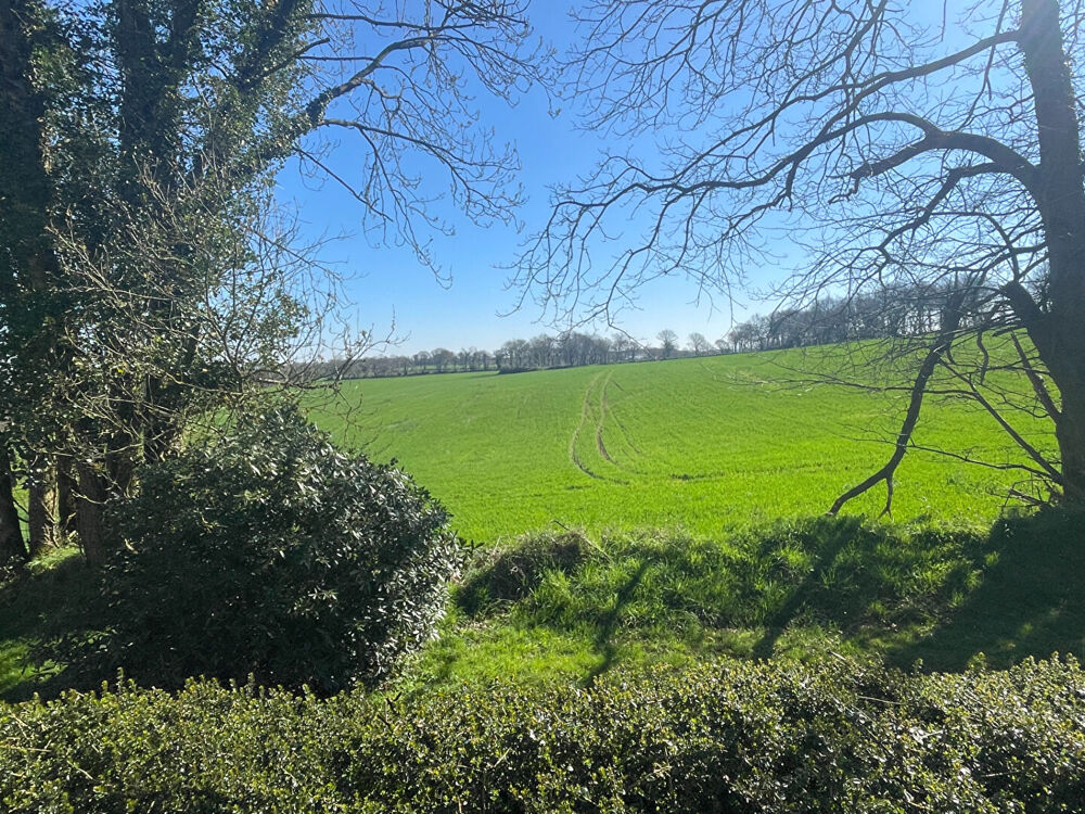 FINISTÈRE: Proche Huelgoat. Belle maison de campagne rénovée avec 3 ch, 2 sdb et jardin.