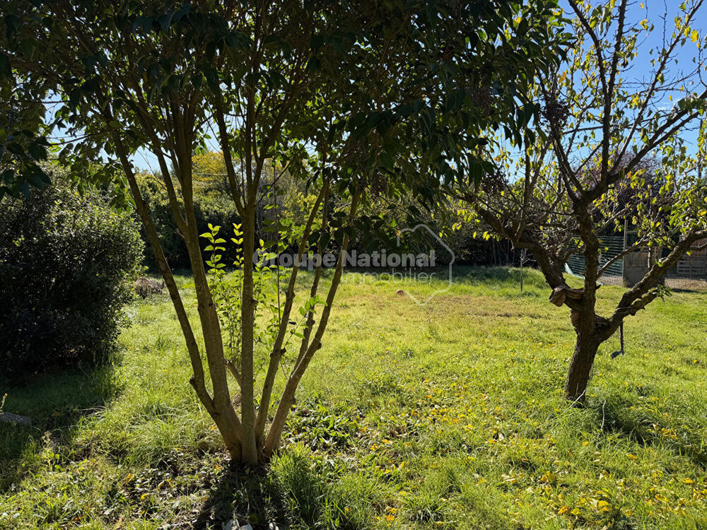 Vente Terrain Cruviers-Lascours terrain constructible de 641m2 Cruviers lascours