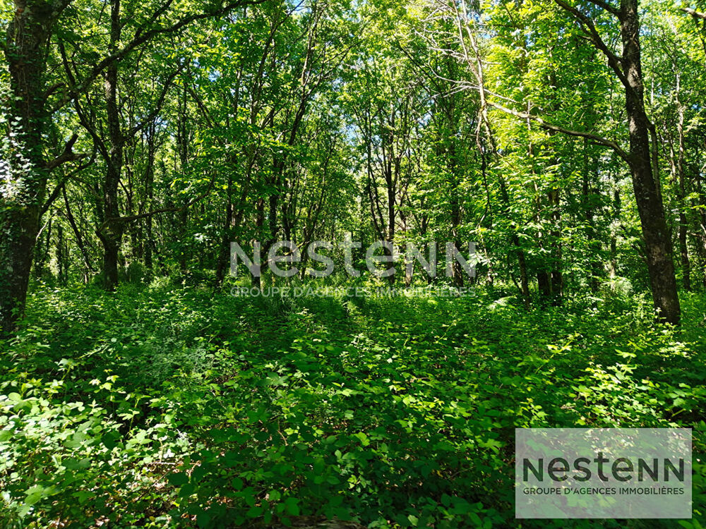 Vente Terrain magnifique domaine forestier en sologne/ chasse/ pêche/ détente/ 27ha situé à Fresnes Le controis en sologne