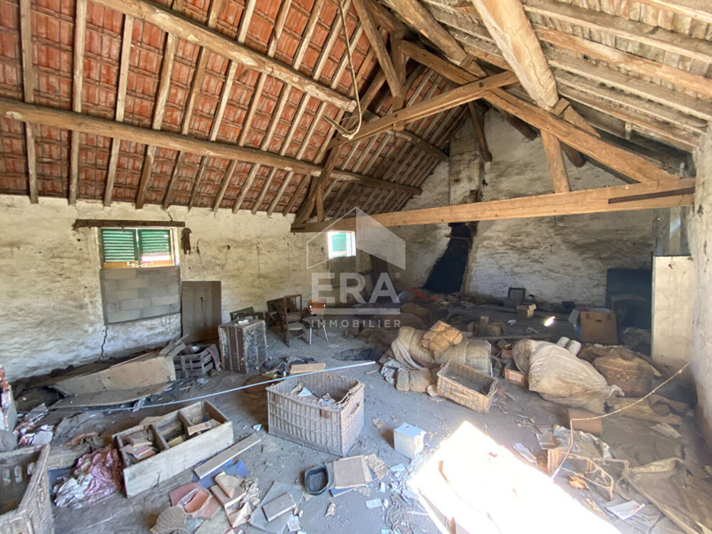 Vente Maison Maison Briarde Grisy-Suisnes 140 m2 Grisy suisnes
