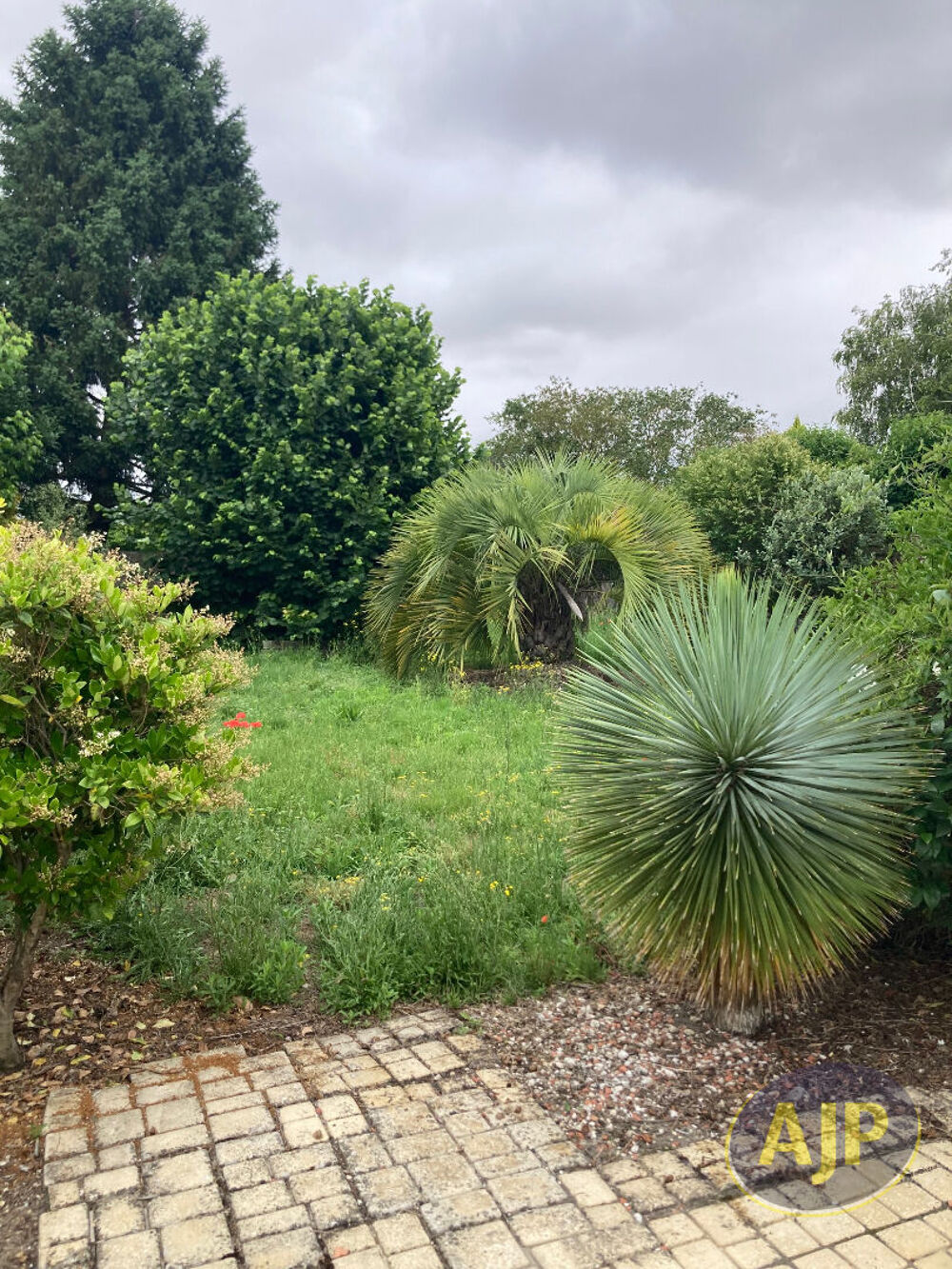 Location Maison Maison T2 avec terrasse et jardin à St Estèphe Saint estephe