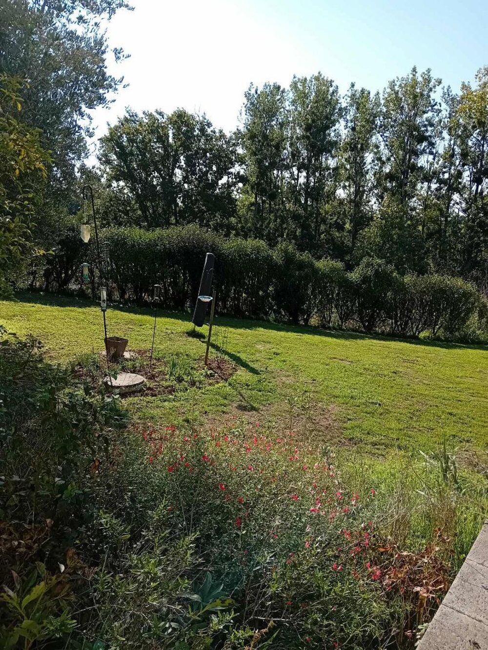 Vente Maison Propriété de campagne élégante et spacieuse avec 1,7 ha Le bouchage