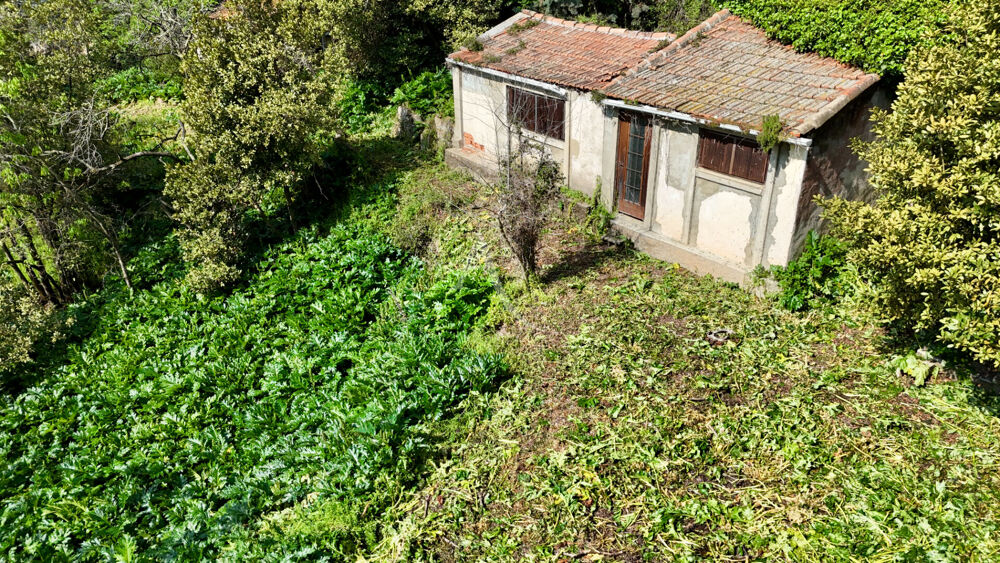 Vente Terrain Terrain Sète Mont Saint Clair 1290 m² Sete