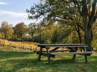  Maison  vendre 8 pices 279 m