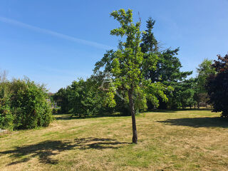  Maison � vendre 3 pi�ces 75 m�