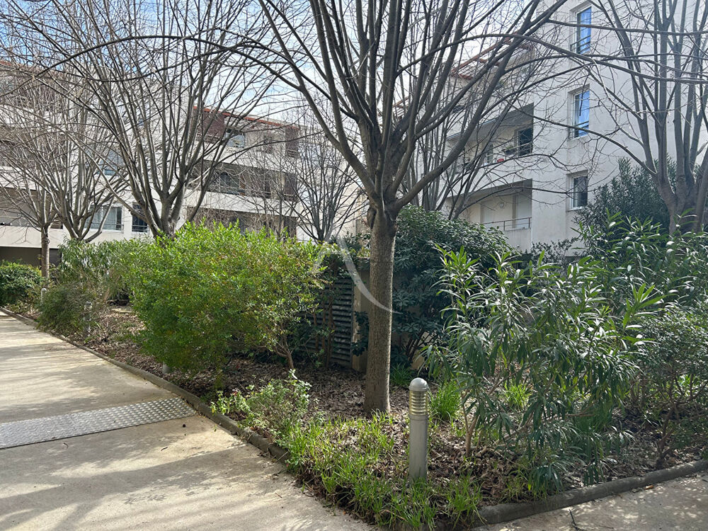 Appartement Montpellier T1 BIS 33 m2, terrasse 10M2 jardin 47m2,