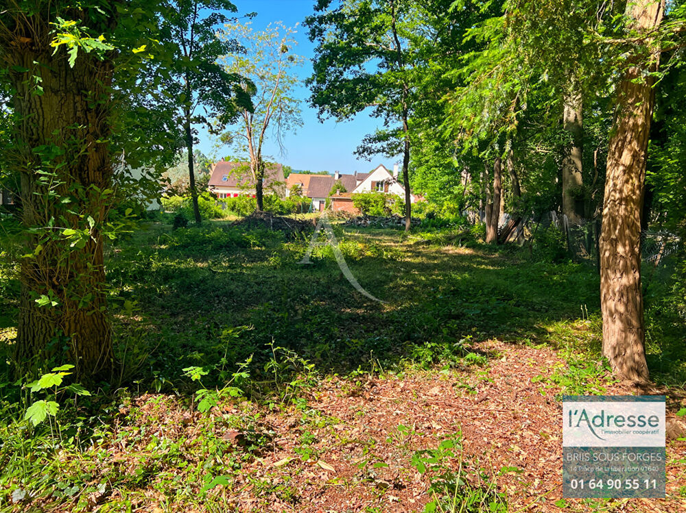 Vente Terrain Terrain plat de 700m² au coeur de briis sous forges Briis sous forges