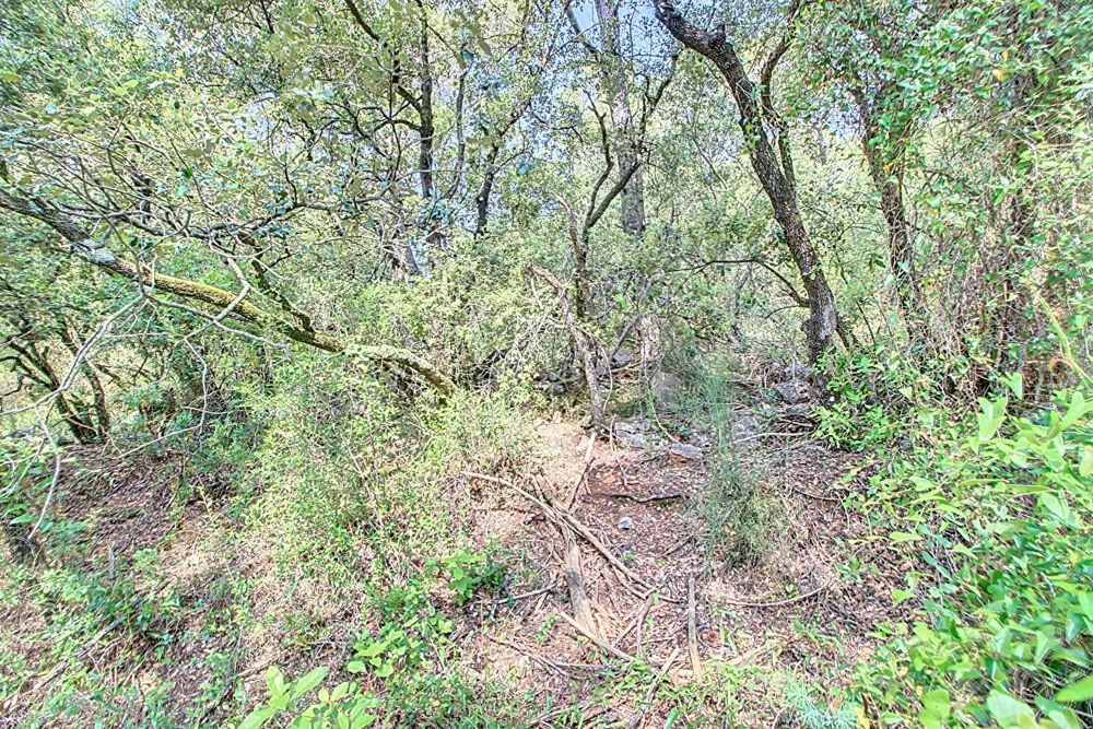 Vente Terrain A VENDRE EN EXCLUSIVITE ! Terrain non constructible de 17444 m² Lorgues