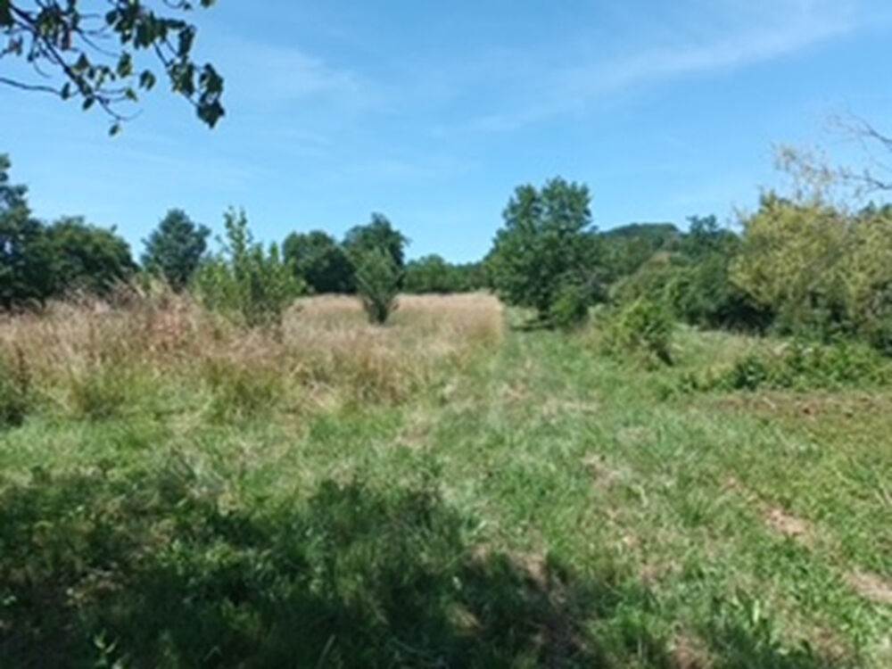 Maison à rénover Clairac avec grand terrain