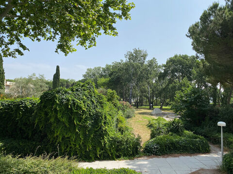  Appartement � louer 1 pi�ce 24 m�