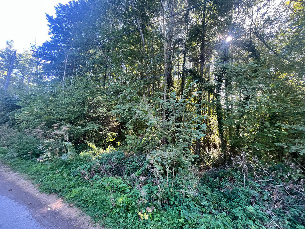 Vente Terrain SAINT MARTIN DE BRETHENCOURT - TERRAIN A BATIR Dourdan