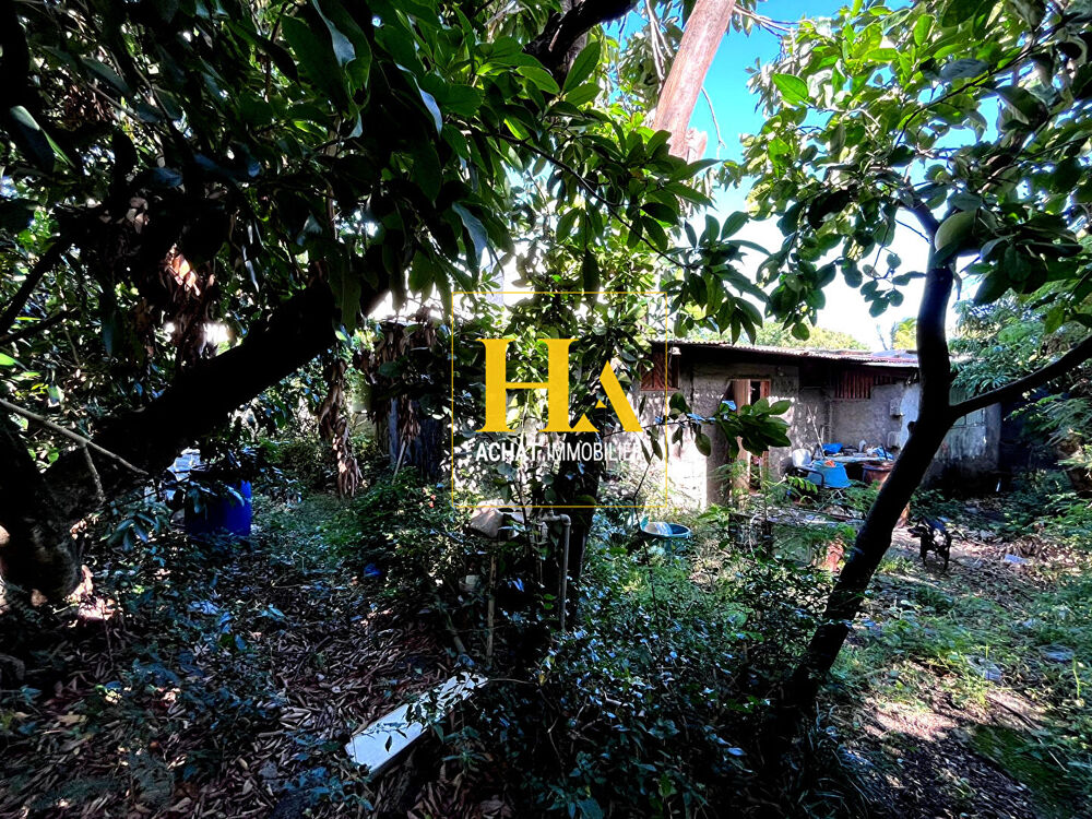 Vente Terrain Terrain constructible 480 m² ? Ligne Paradis, Saint-Pierre Saint pierre