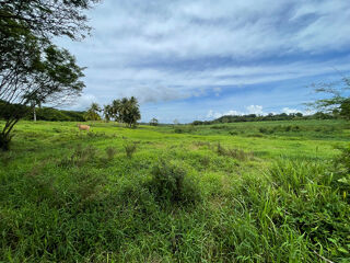  Terrain � vendre 1000 m�