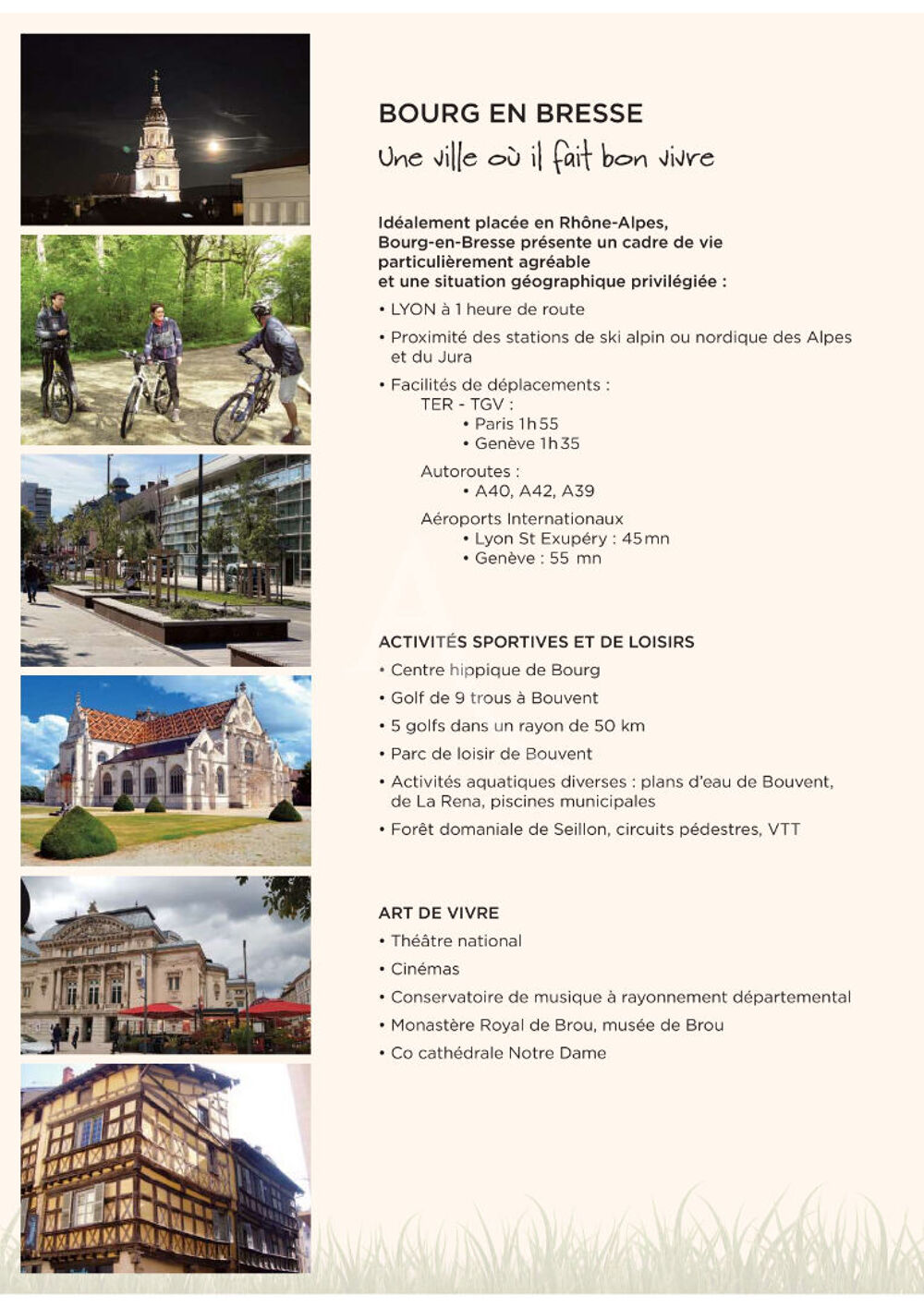   LES PALATINES centre Bourg-en-Bresse bureaux à vendre Bourg en bresse