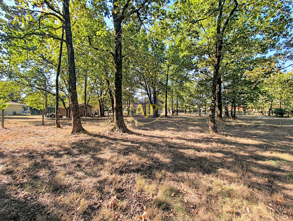 Vente Terrain Terrain de 6155 m² dont 1600 m² de constructible Saint vivien de medoc
