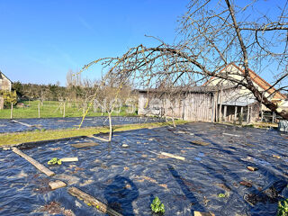  Terrain à vendre 598 m²