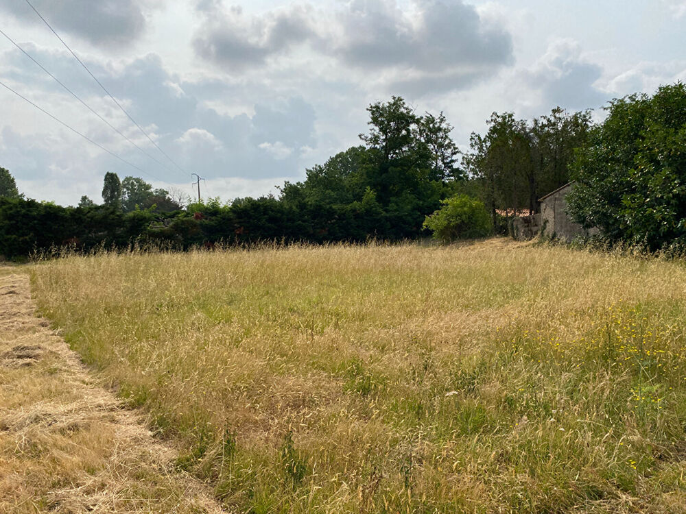 Vente Terrain Terrain Saint Hilaire De Riez (s) 1017 m2 Saint hilaire de riez